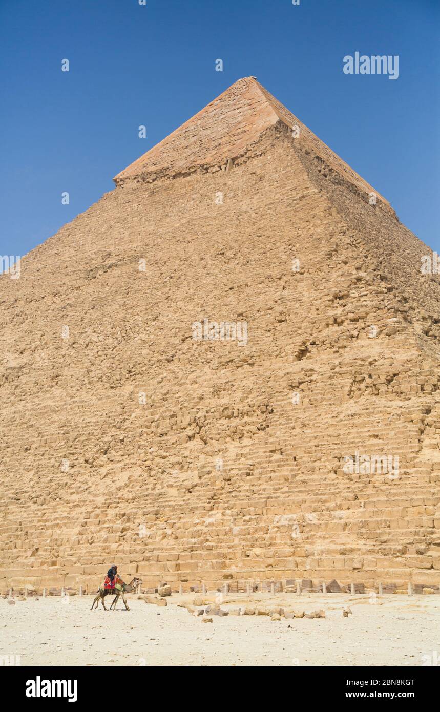 Riders with Camels, Khafre Pyramid (background), Great Pyramids of Giza, UNESCO World Heritage Site, Giza, Egypt Stock Photo