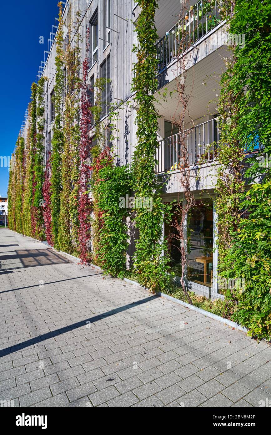 Green wall on modern building Stock Photo