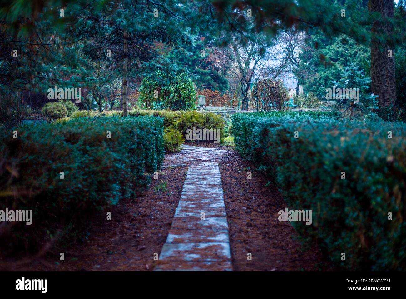 green park with walkway very beautiful view Stock Photo - Alamy