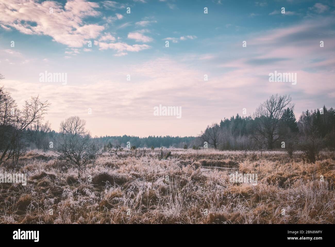 River covered ice autumn trees hi-res stock photography and images - Alamy