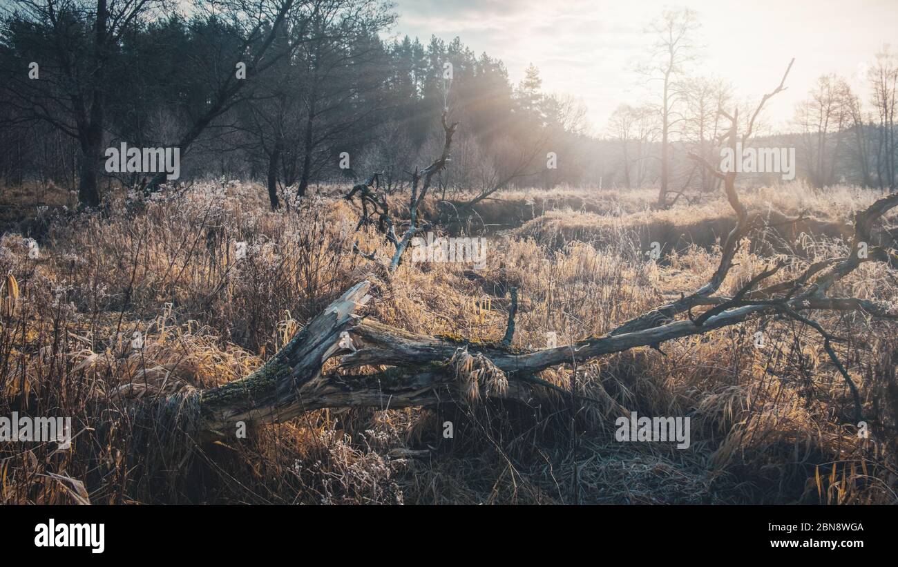 River covered ice autumn trees hi-res stock photography and images - Alamy