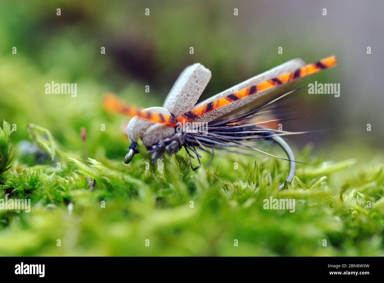 Dry fly for fly fishing closeup Stock Photo Alamy