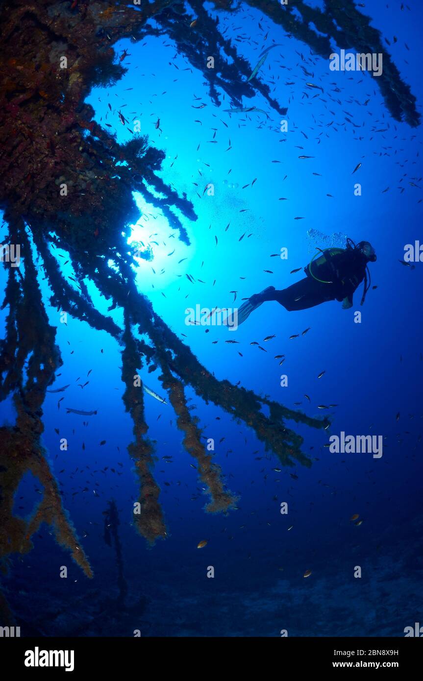 Scuba diver diving among the underwater structure of La Plataforma wreck dive site in Ses Salines Natural Park (Formentera, Mediterranean sea, Spain) Stock Photo