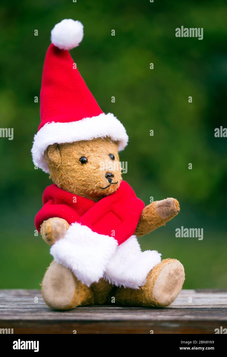 Teddy bear wearing red christmas scarf hi-res stock photography and ...
