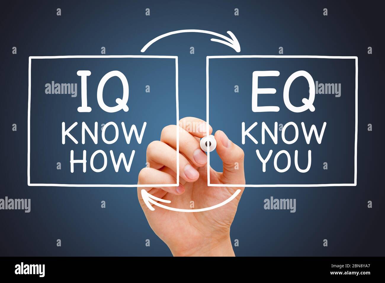 Hand drawing IQ Know How and EQ Know You diagram with marker on transparent glass board. Emotional intelligence quotient and Intelligence quotient con Stock Photo