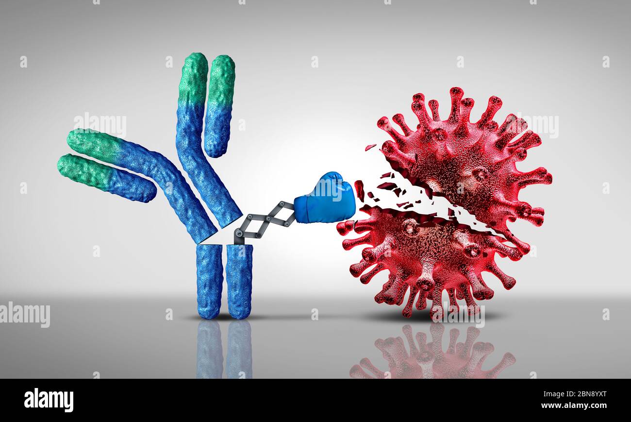 Antibody fighting virus and Immunoglobulin concept as antibodies attacking contagious viral cells and pathogens. Stock Photo