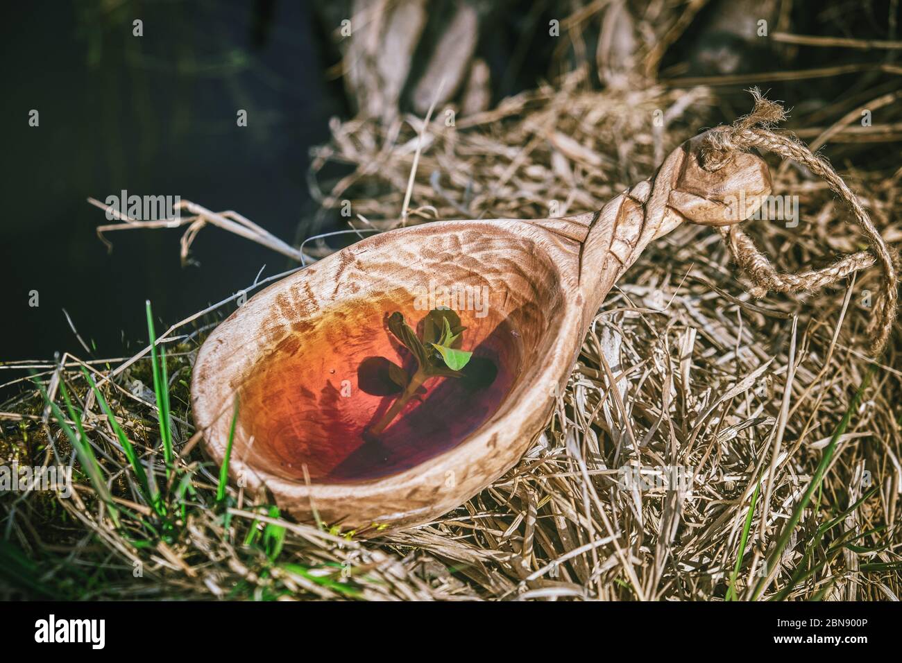 Drinking river mint tea in nature. Finnish wooden mug kuksa. Stock Photo