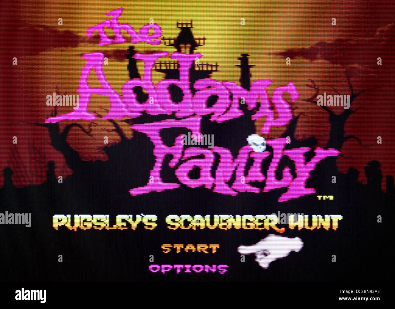 The Addams Family - Pugsley's Scavenger Hunt - Nintendo