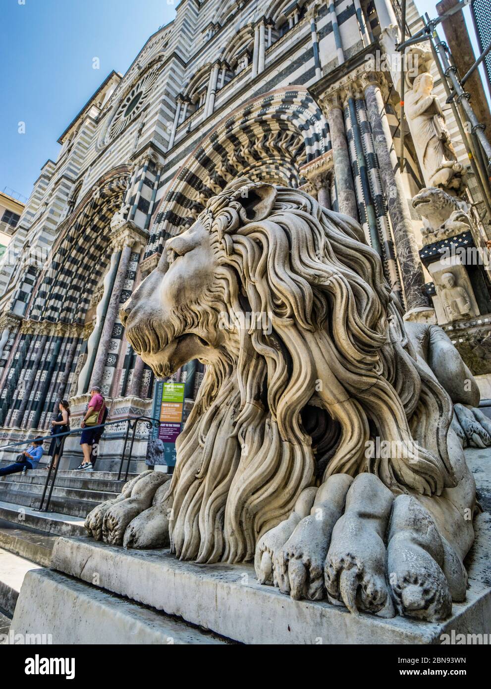 lion statue by sculptor Carlo Rubatto flanking the staircase of Genoa Cathedral, Genoa, Liguria, Italy Stock Photo