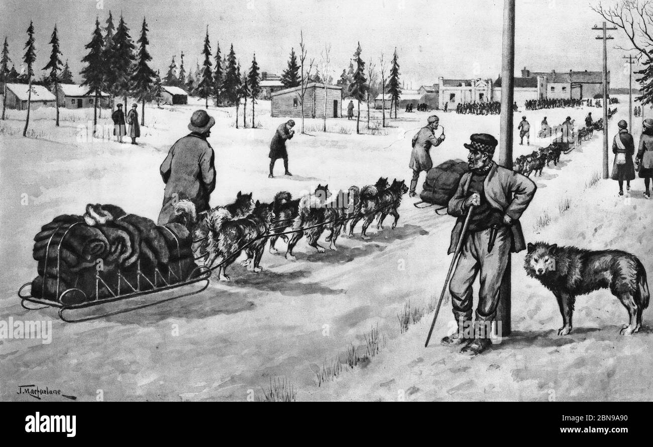 Photo dog sled and plane used for mail transport Canada 1930s Photo dog sled and plane used for mail transport Canada 1930s