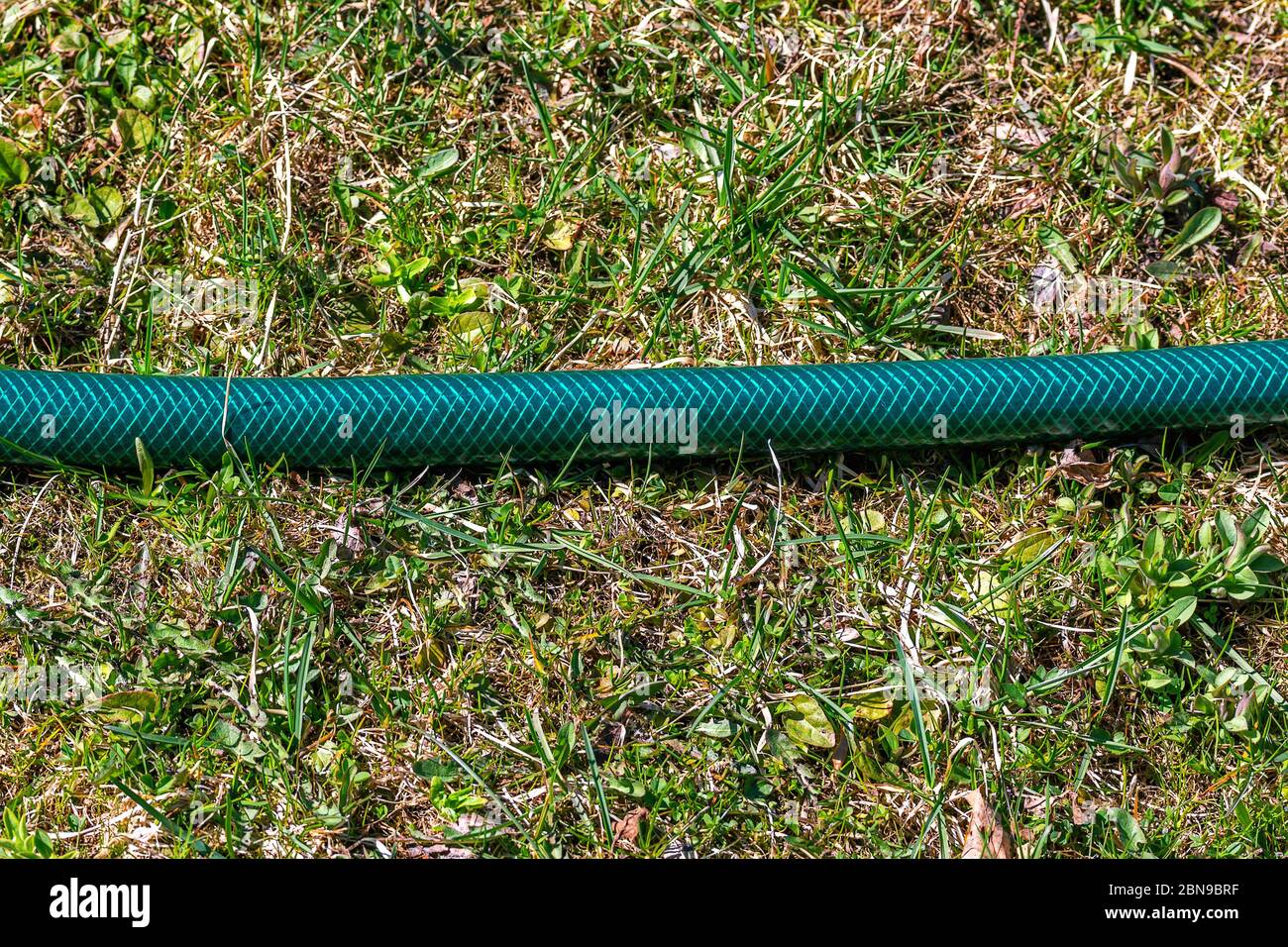 Fragment of a green reinforced garden hose is lying on the ground covered with green grass. Stock Photo