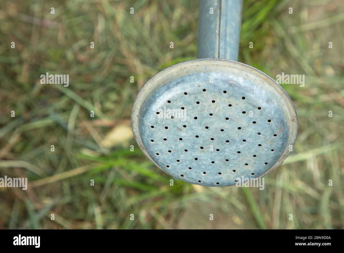 Watering can spout seen from above hires stock photography and images Alamy