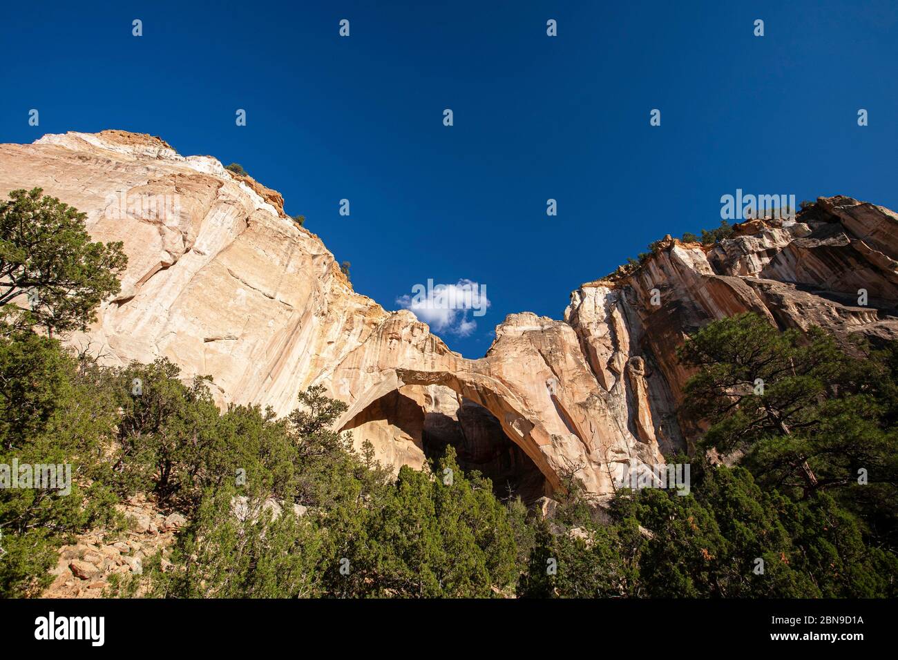 La Ventana Arch, Cebolla Wilderness, El Malpais National Conservation Area, New Mexico USA Stock Photo