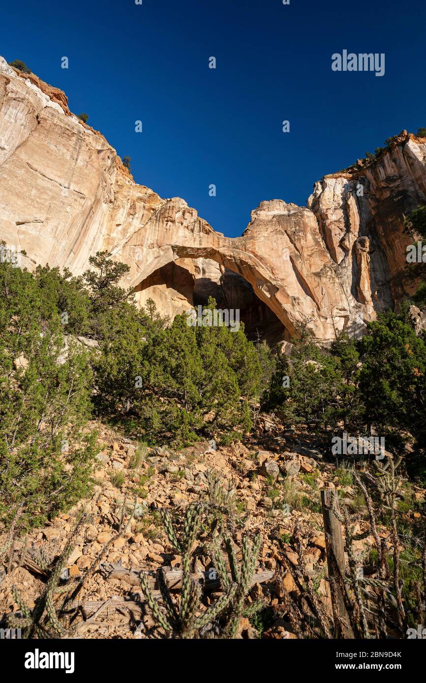 La Ventana Arch, Cebolla Wilderness, El Malpais National Conservation Area, New Mexico USA Stock Photo