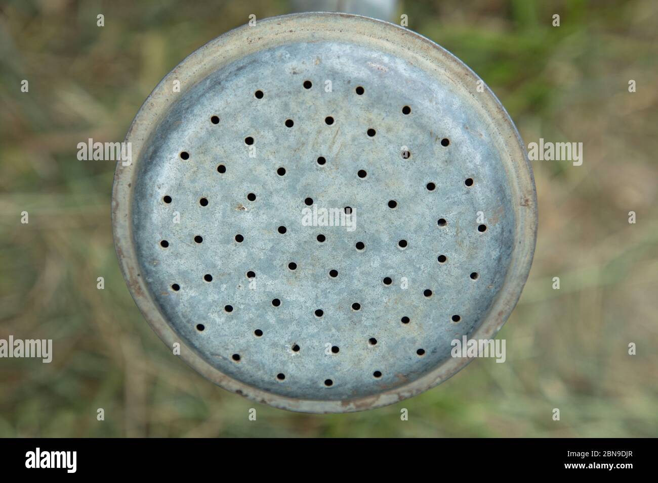 Spout of classic watering can made of galvanized metal seen in a garden in London, UK Stock
