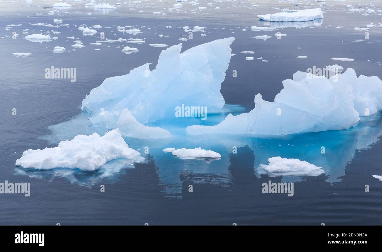 Small icebergs near Antarctica Stock Photo - Alamy