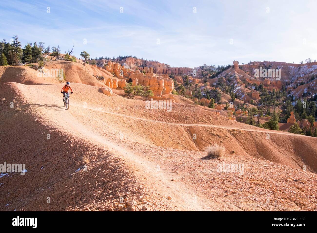 A woman riding the Thunder Mountain Trail. Stock Photo