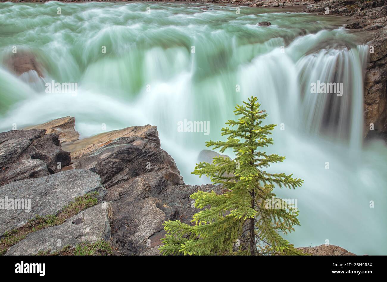 Sunwapta Falls, Jasper National Park, Alberta, Canada. Stock Photo