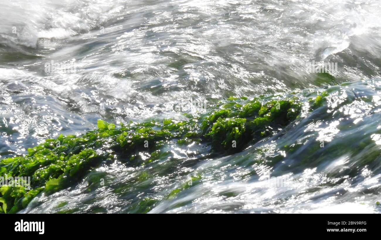 Waves with ripples on the surface of the sea water and mossy rock ...