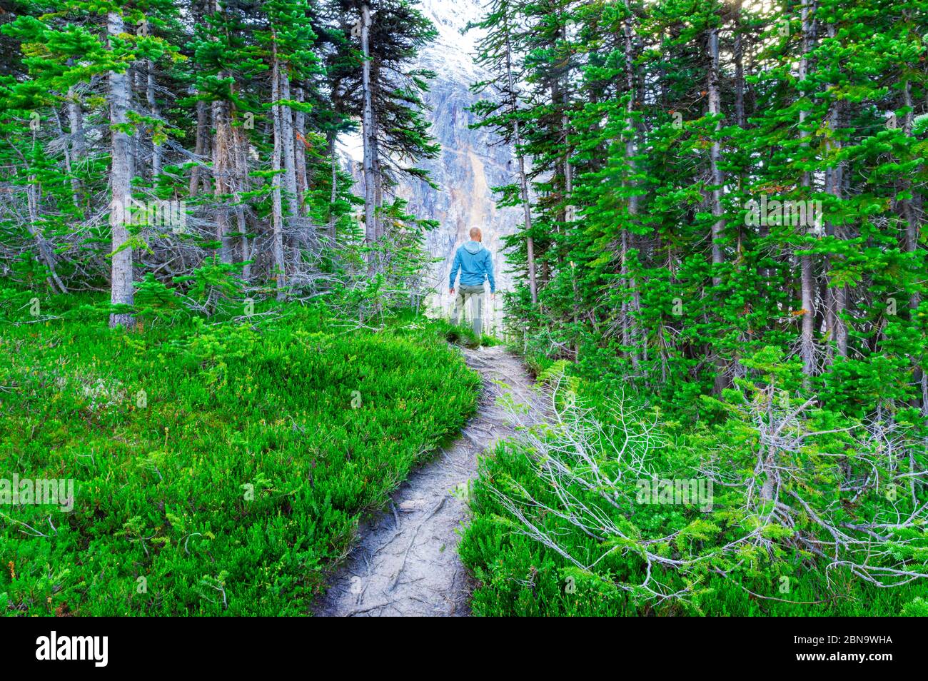 Man Standing Outdoors On Footpath In Rocky Mountain Landscape In Summer Stock Photo