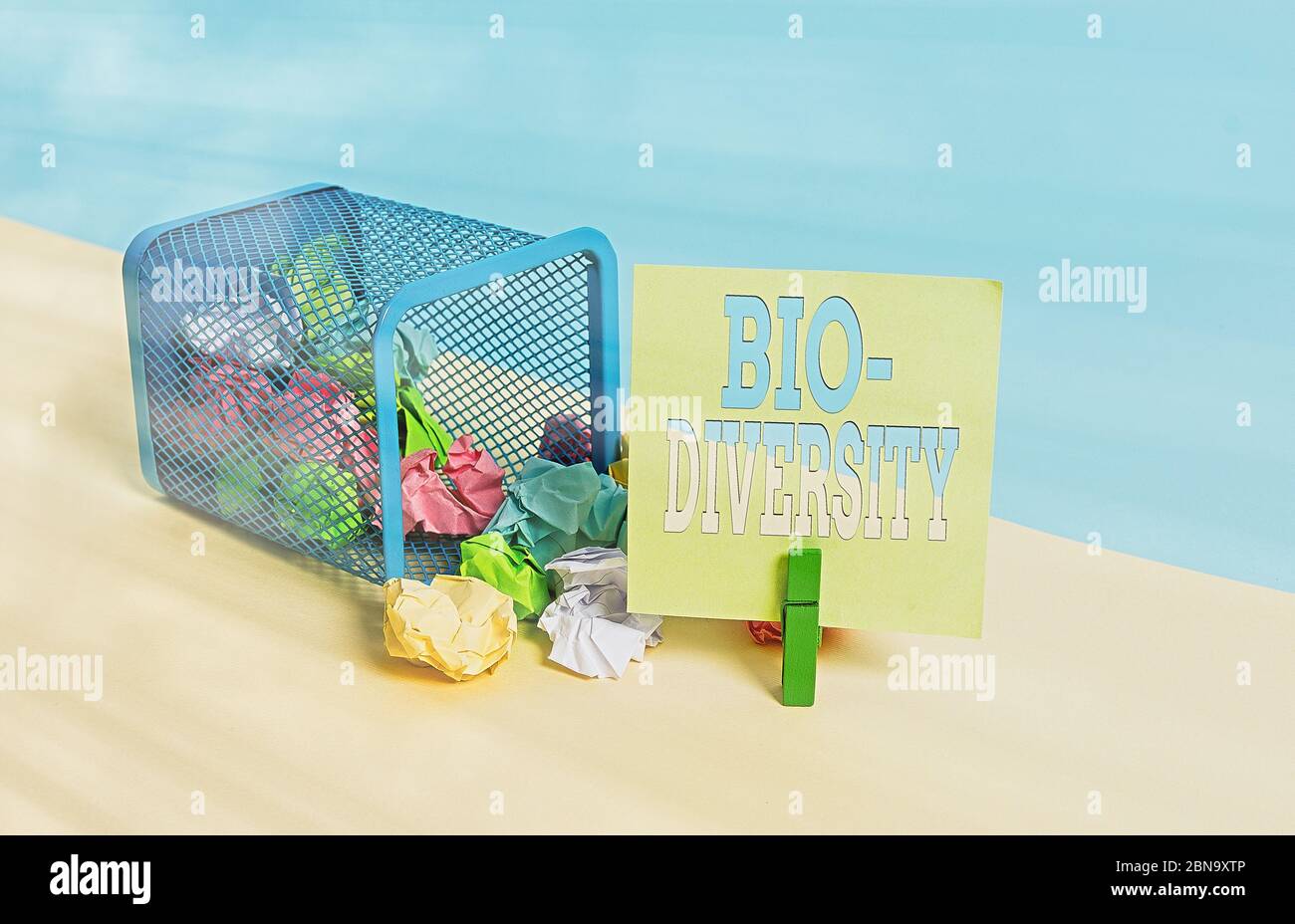 Word writing text Bio Diversity. Business photo showcasing Variety of