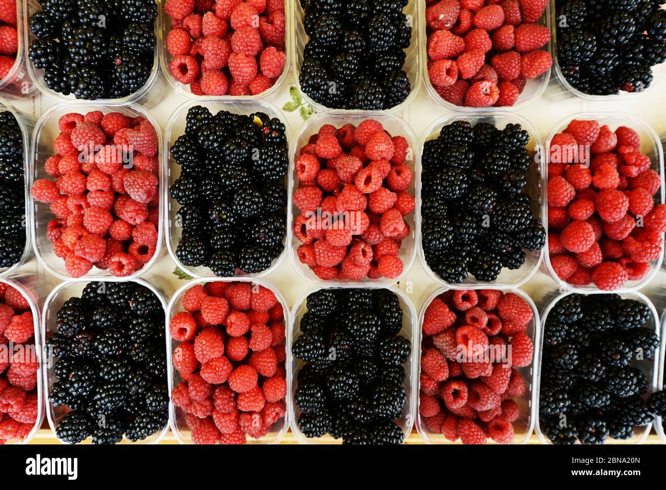The vibrant outdoor Zadar market with stalls selling fresh fruits