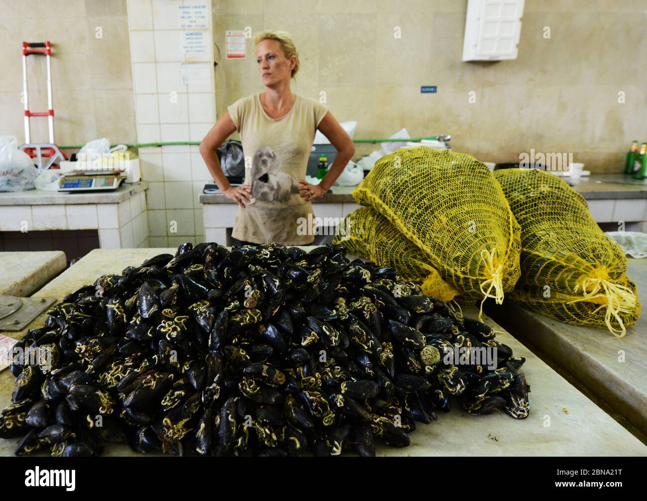 The fish & seafood market in Zadar, Croatia Stock Photo Alamy