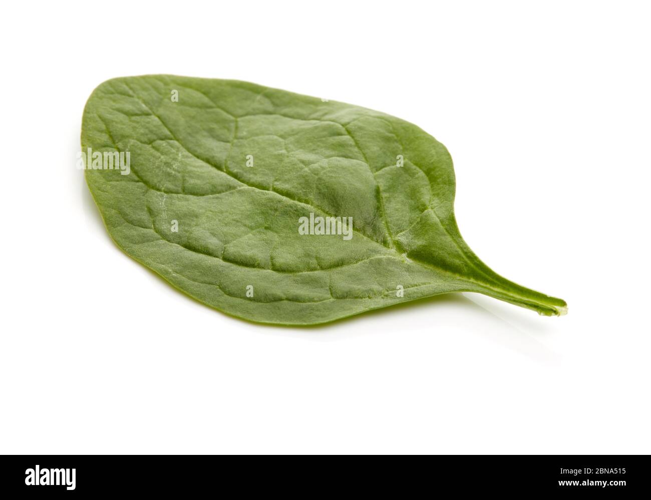 Spinach Isolated on White Background Stock Photo - Alamy