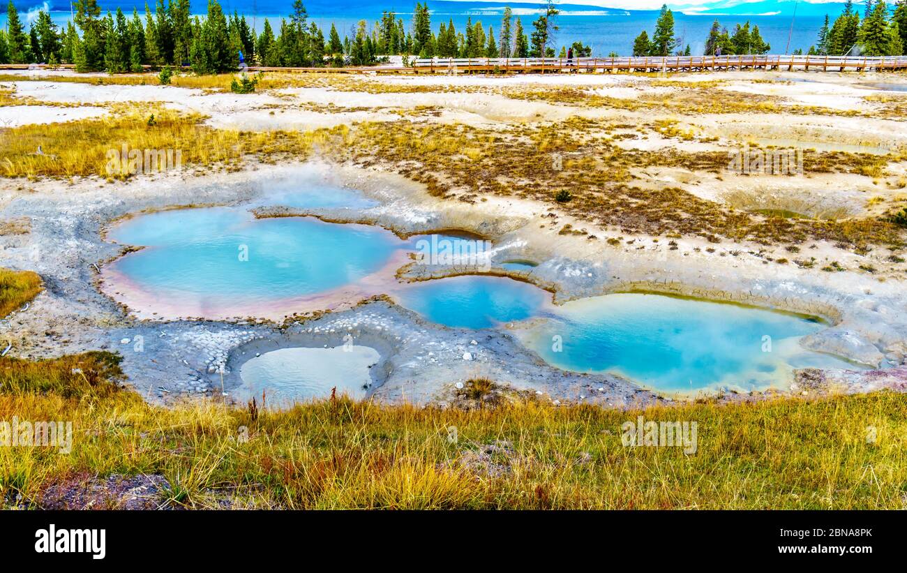 The turquoise colored Painted Pool in the West Thumb Geyser Basin in Yellowstone National Park, Wyoming, United States Stock Photo