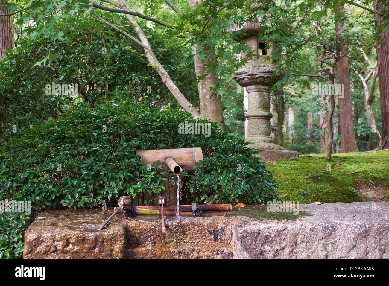 The view of the moss park with the Kasuga-doro garden stone lantern and bamboo washbasin (tsukubai) for the ritual washing at the entrance to the Ryoa Stock Photo