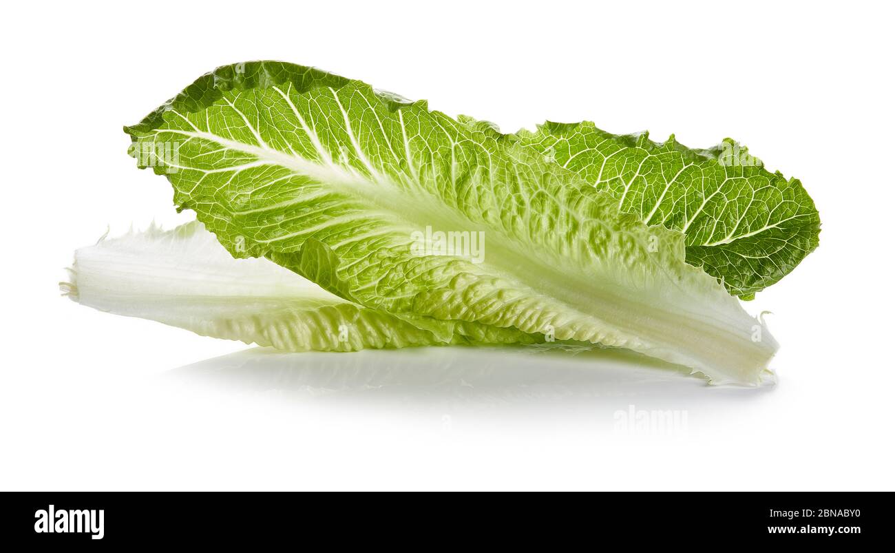 Romaine Lettuce Isolated on White Background Stock Photo