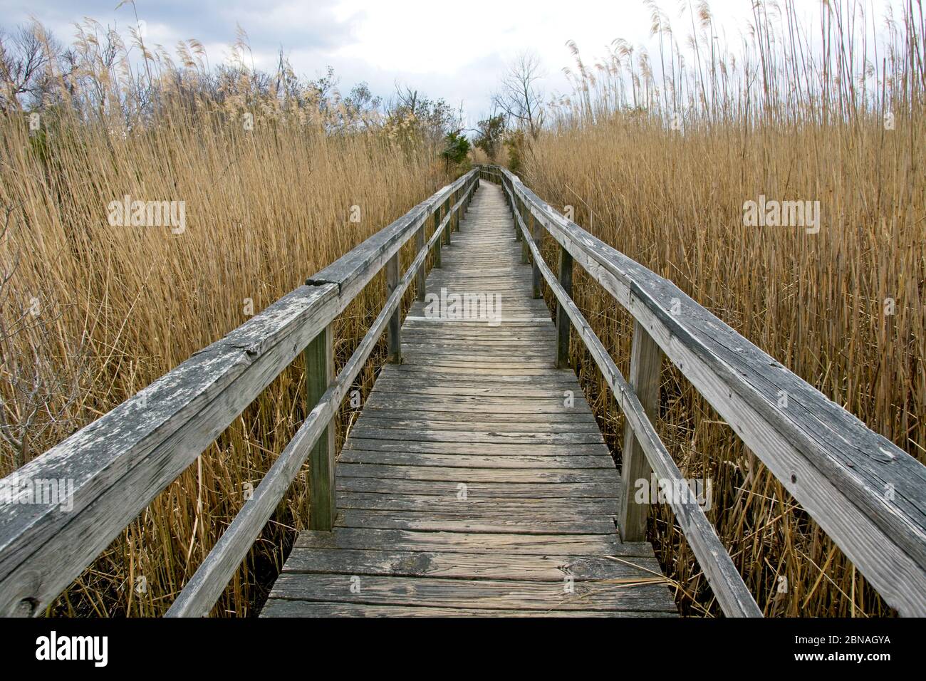 Boardwalk in Corolla on Outer Banks of North Carolina USA