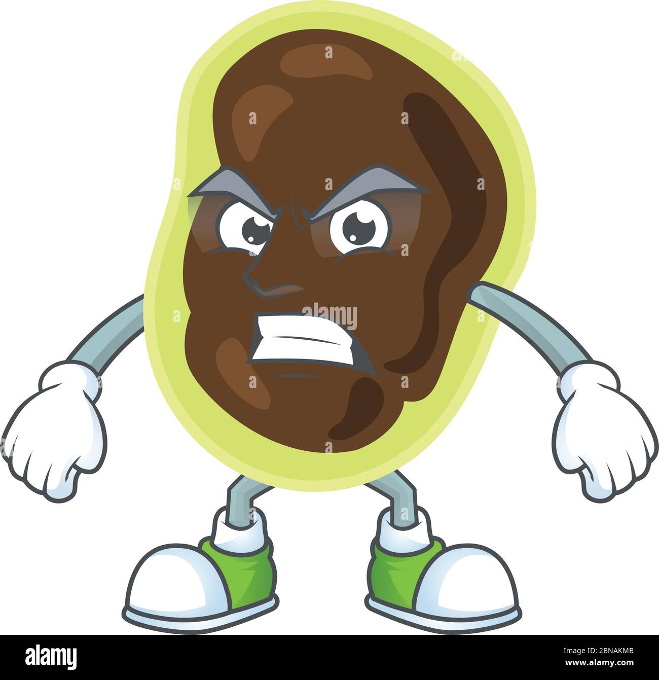 cartoon drawing of firmicutes showing angry face Stock Vector