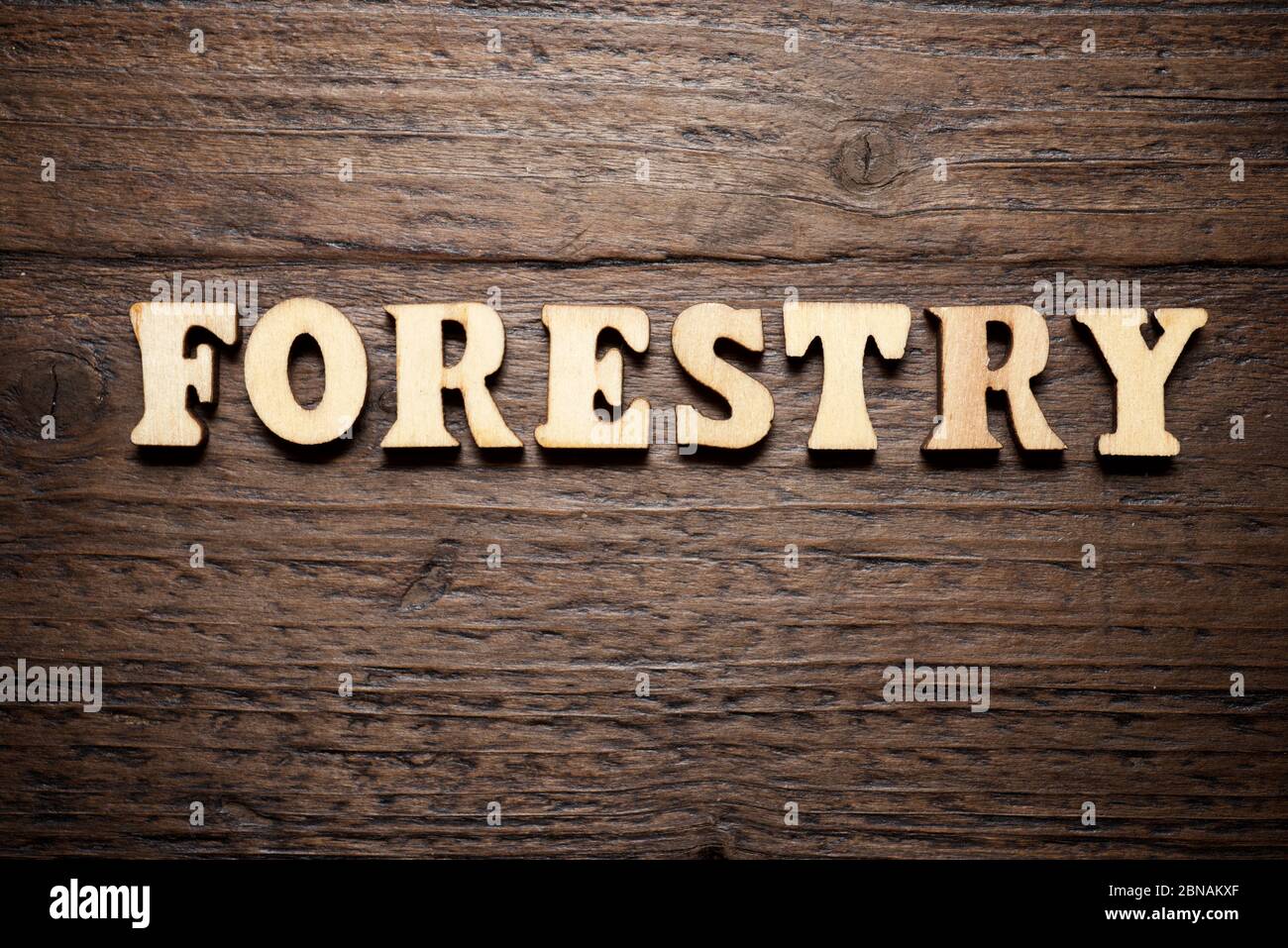 Forestry word on a wood table Stock Photo Alamy