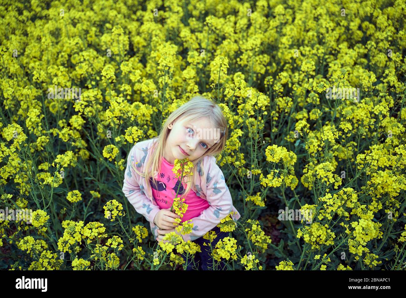young girl in a rapeseed field Stock Photo - Alamy