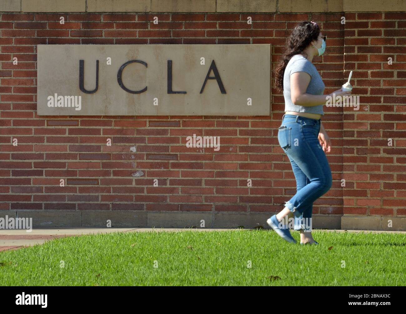 A student walks near the entrance of the UCLA campus in Los Angeles on Wednesday, May 13, 2020. California State University, the nation's largest four-year college system, plans to cancel most in-person classes in the fall and instead offer instruction primarily online, Chancellor Timothy White announced Tuesday. The vast majority of classes across the 23-campus Cal State system will be taught online, White said, with some limited exceptions that allow for in-person activity. 'Our university, when open without restrictions and fully in person is a place where over 500,000 people come together Stock Photo