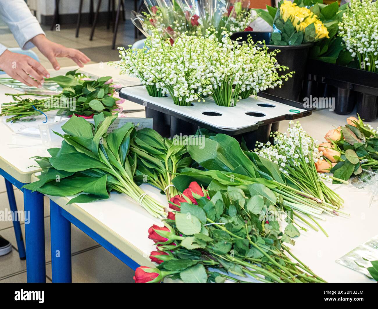 Different Types Of Beautiful And Colorful Flowers And Plants Inside A Flower Shop Stock Photo Alamy