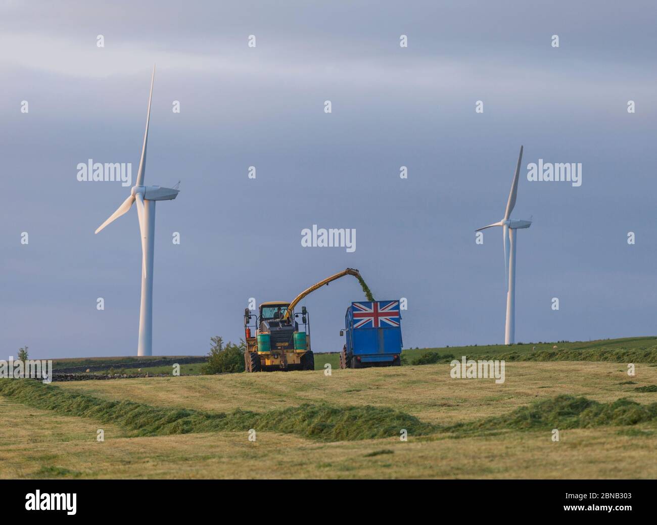 Agricultural contractor using a New Holland FX375 self propelled forage