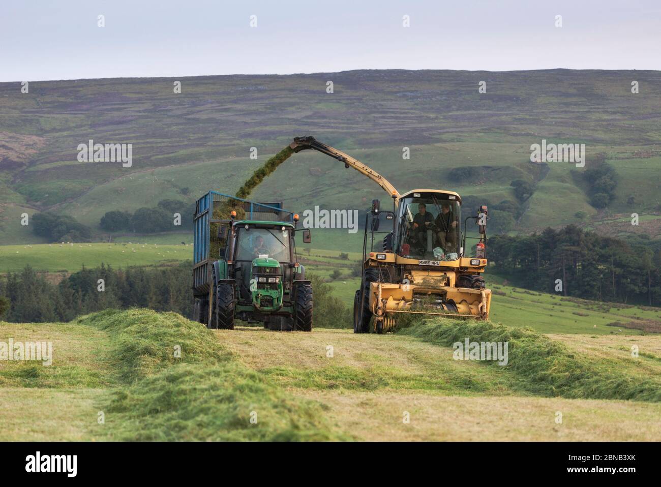 Agricultural Contractor Using A New Holland FX375 Self Propelled Forage ...