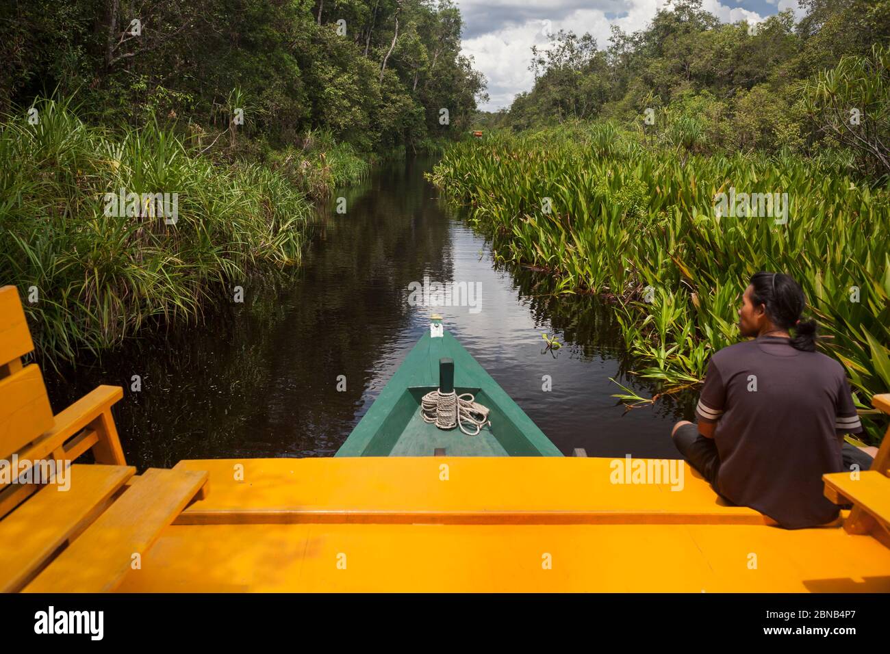 Horizontal view of a man navigating in a traditional wooden Klotok, Sekonyer River, Tanjung Puting National Park, Centra Kalimantan, Borneo, Indonesia Stock Photo