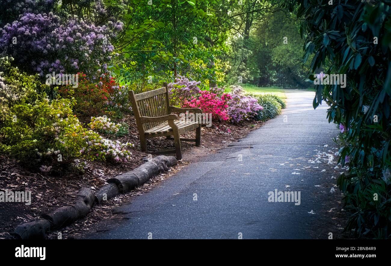 Wooden bench in the beautiful garden in England Stock Photo