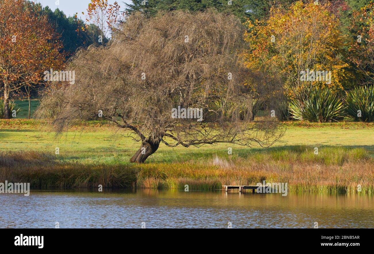 autumn scene Dullstroom, South Africa Stock Photo Alamy