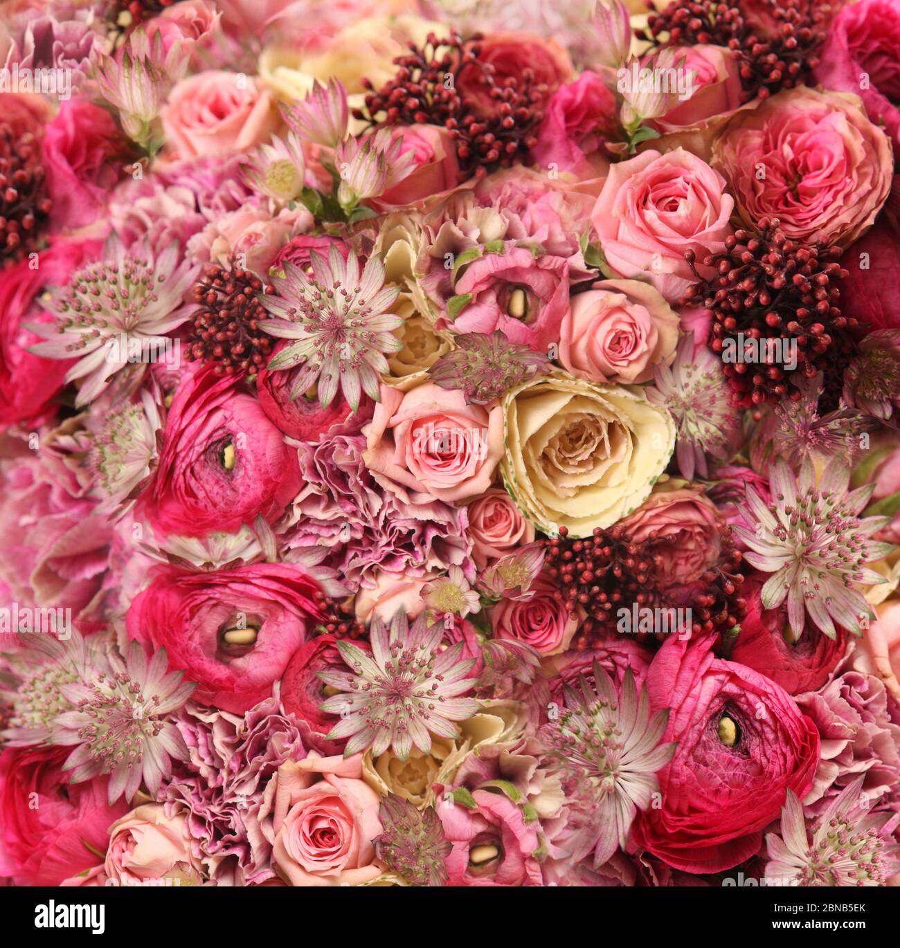 Wedding Bouquet With Astrantia Skimma Brassica Rose Bush Ranunculus Asiaticus Cloves Stock Photo Alamy