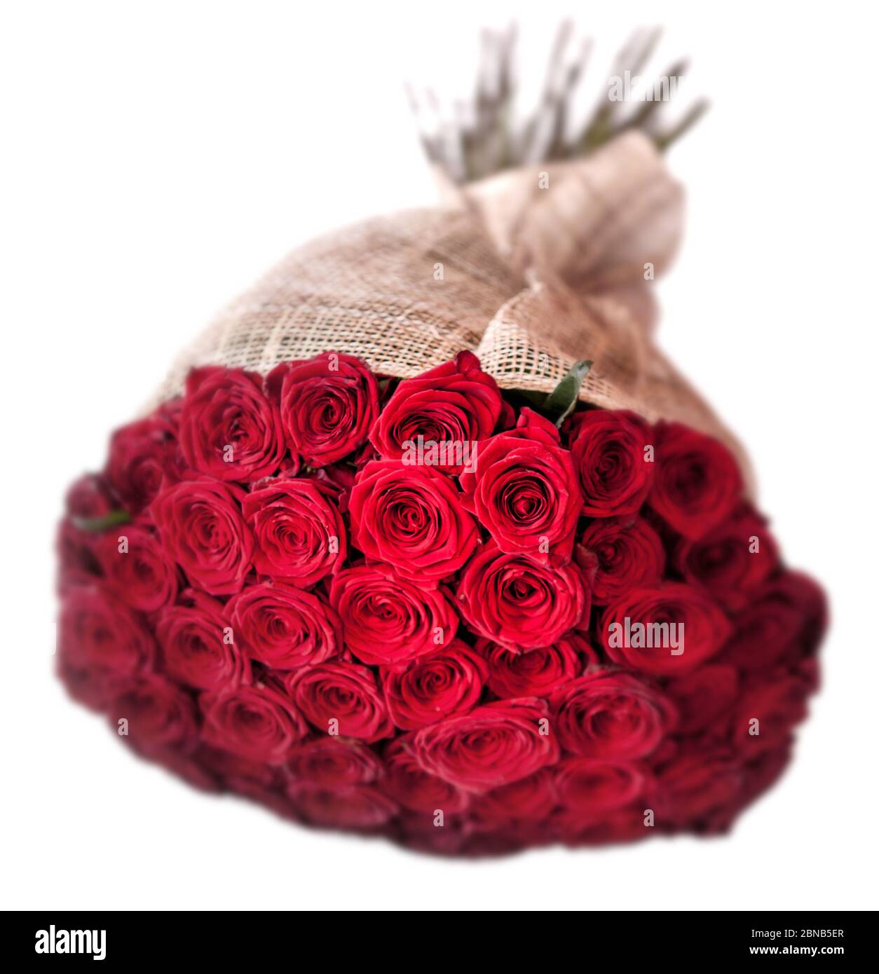 Imagine 50 Roses Flower bouquet 50 red Cut Out Stock Images & Pictures - Alamy