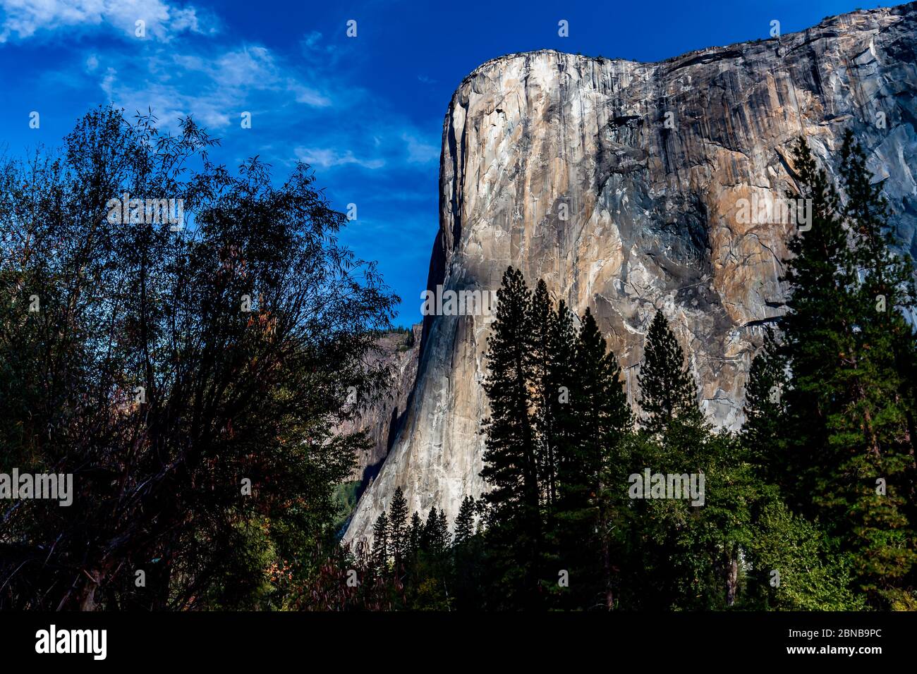 World famous rock climbing wall of El Capitan, Yosemite national park