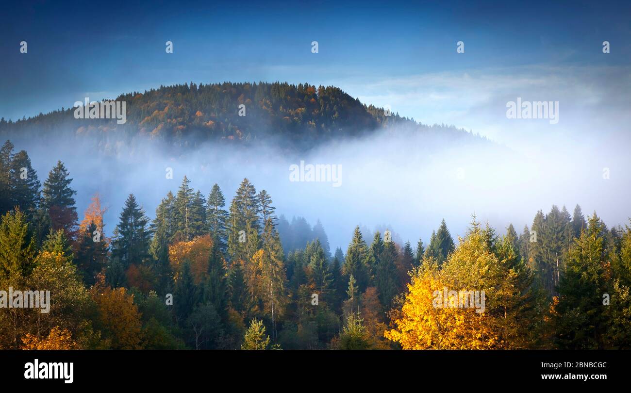 landscape with fog in bavaria germany, Germany, Bavaria Stock Photo