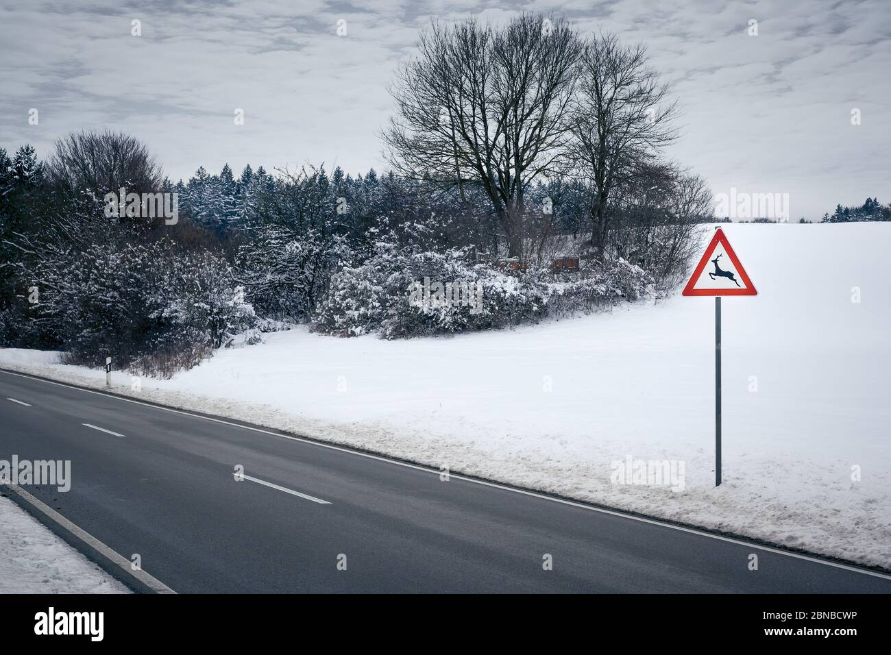 country road in winter with sign deer crossing, Germany, Bavaria Stock Photo