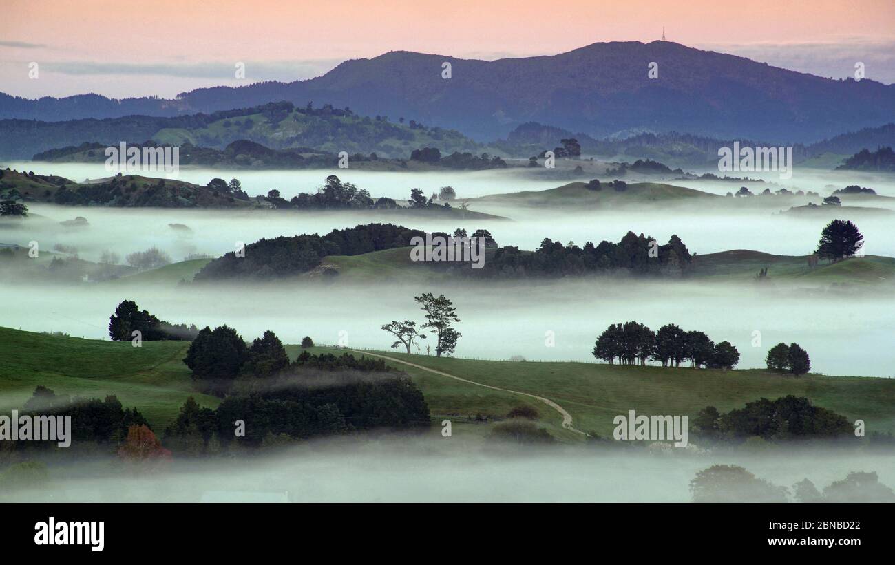 Scenic island in new zealand hi-res stock photography and images - Alamy
