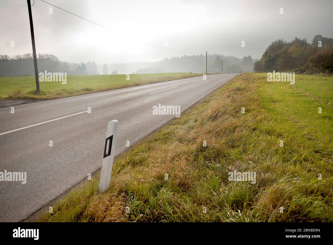 country road in misty landscape, Germany, Bavaria Stock Photo