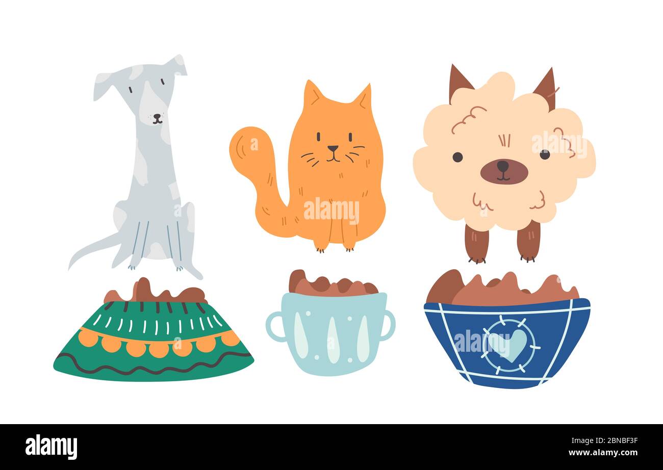 Group of cute, adorable and hungry dogs and cats are sitting near the plates full of dry pet food waiting for adoption by loving owner. Vector cartoon Stock Vector